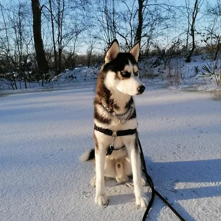 Erve Möskert Nyaraló