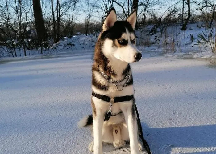 Erve Moeskert Vakantiehuis