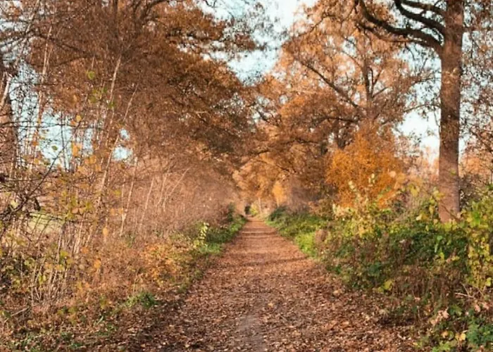 Erve Moeskert Vakantiehuis