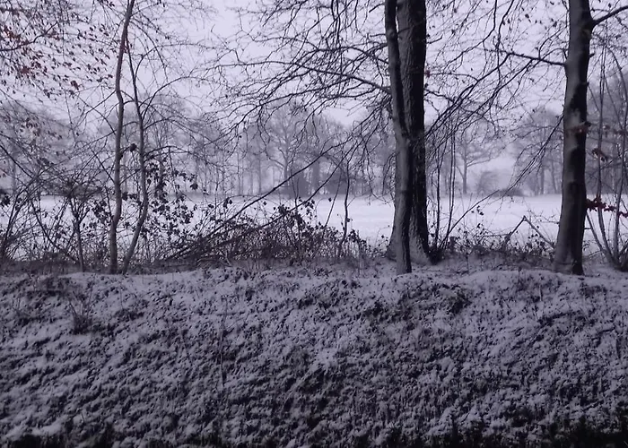 펜션 Erve Moeskert