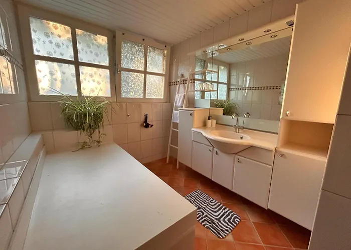 Erve Moeskert Geesteren (Overijssel)