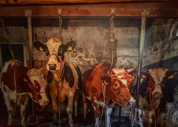 Erve Moeskert Geesteren (Overijssel)