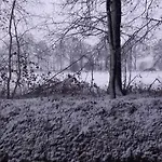 Vakantiehuis Erve Moeskert