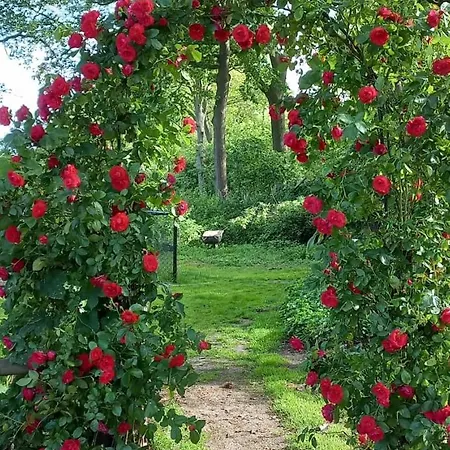 Erve Moeskert Casa vacanze *