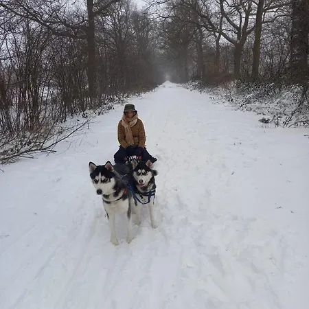 Casa vacanze Erve Moeskert