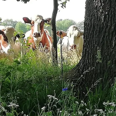 Casa vacanze Erve Moeskert *