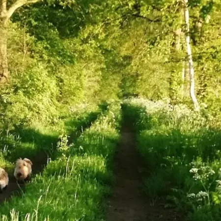 Erve Moeskert * Geesteren (Overijssel)