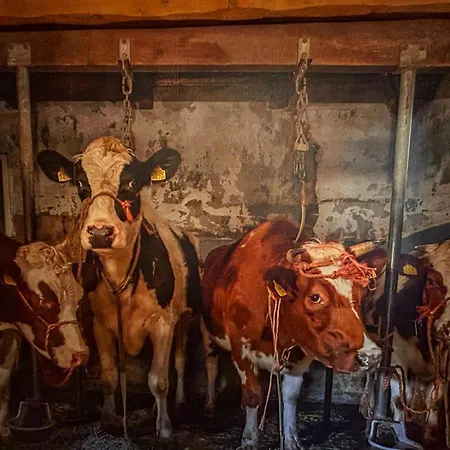 Erve Moeskert Geesteren (Overijssel)