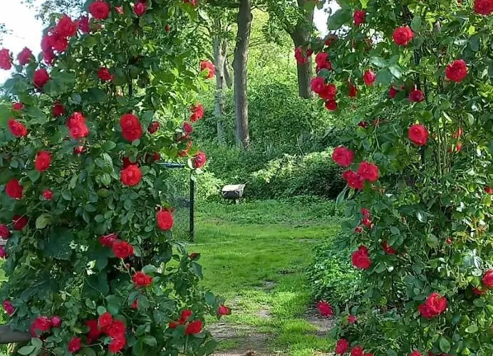 Erve Moeskert 別荘 *