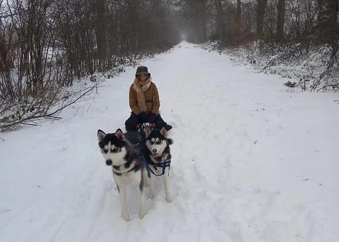 Feriehus Erve Moeskert