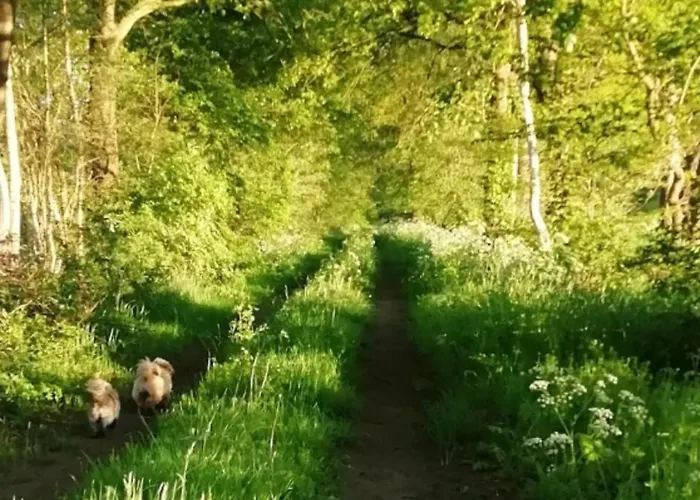 Erve Moeskert * Geesteren (Overijssel)