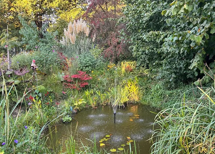 Erve Moeskert Geesteren (Overijssel)